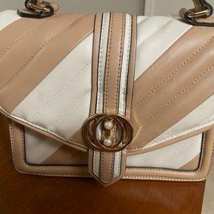 Aldo Clutch Bag